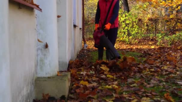 Tuinman blaast bladeren van gazon gras in huis tuin — Stockvideo