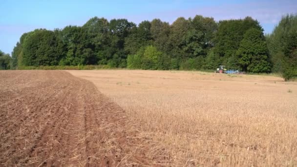 Trator cultiva o solo do campo de restolho. Máquinas agrícolas — Vídeo de Stock