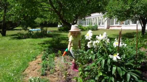 Güneşli bir günde bahçe hortumu kullanan bir çocuk. Çiçekleri sulayan küçük bahçıvan. Gimbal — Stok video