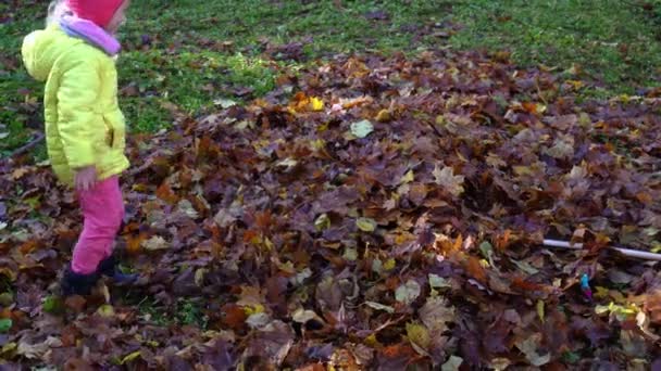 Vilaine mère cachée dans un tas de feuilles et petite fille jouant dans le jardin — Video