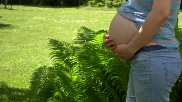 Těhotná žena manželka hladí své velké břicho v zahradě. Devátý měsíc těhotenství — Stock video