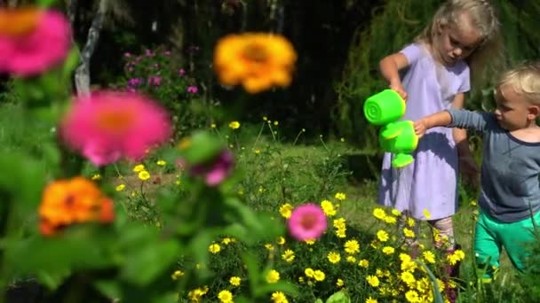 Vicces kis kertészek gyerekek öntözni virágok kis öntözőkannák a kertben — Stock videók