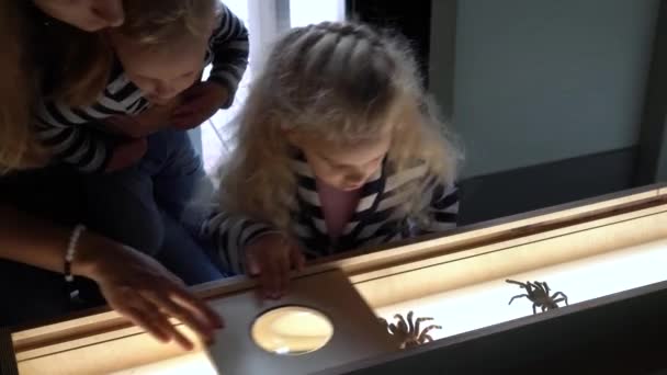 Kobieta z dziećmi patrzy na wielkiego wypchanego pająka przez szkło optyczne. Ruch gimbalny — Wideo stockowe