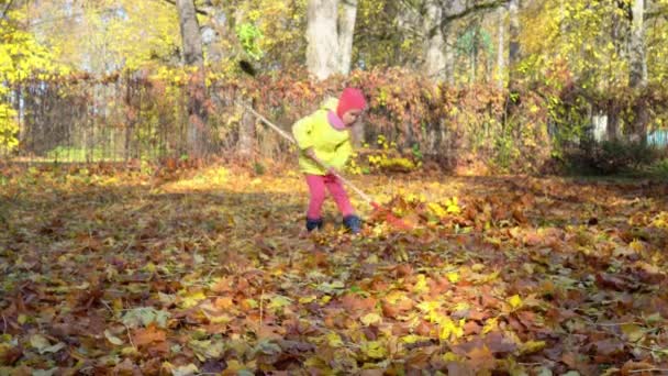 Κουρασμένο κοριτσάκι προσπαθεί να καθαρίσει τα φύλλα στην αυλή του κήπου γεμάτο φθινοπωρινά φύλλα — Αρχείο Βίντεο