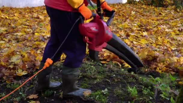 Az ember őszi leveleket fúj, miközben a szabadban takarít. Modern levélfúvó — Stock videók