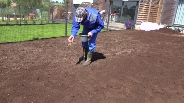 Mannelijke tuinman in gumboots handen zaaien nieuwe gras gazon. Panorama — Stockvideo