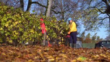 Sarı kazaklı ve mavi şapkalı bir adam arka bahçede yapraklar savuruyor.