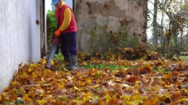 Yaprak üfleyici kullanan işçiler