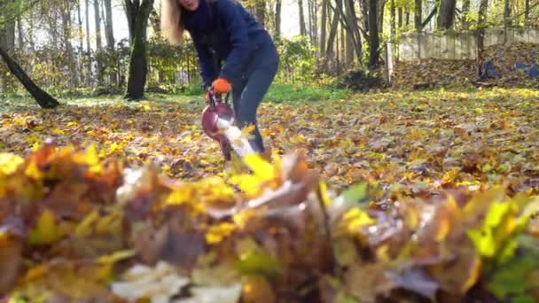 Mujer usando soplador de hojas eléctrico para soplar hojas de otoño del césped — Vídeo de stock