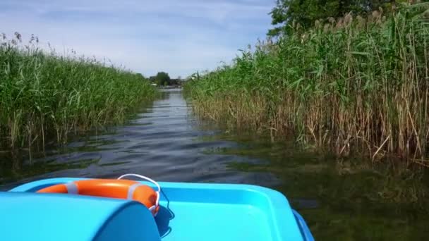 Waterfiets catamaran met reddingsboei drijven tussen meerriet. Gimbal motie — Stockvideo
