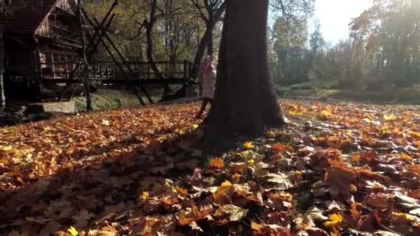 Hyperactive child girl running through autumn leaves around tree trunk — Stock Video