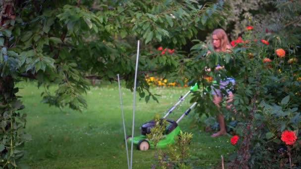 Gardener girl start engine of lawn mower and cut grass between trees and flowers — Stock Video