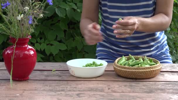 Gardener woman hands hull fresh green peas on red wooden table. 4K — Stock Video