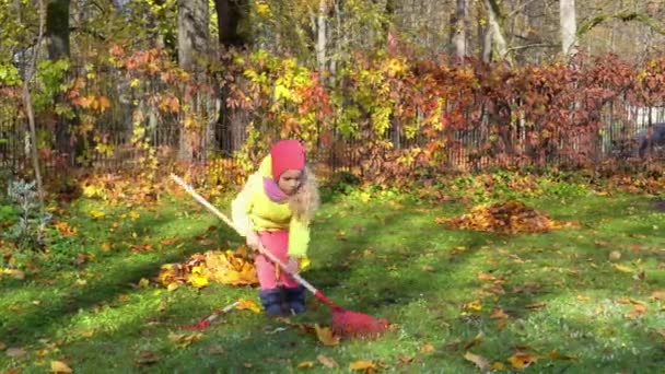 Mała dziewczynka grabie żółte liście z pomocą narzędzia grabie w ogrodzie — Wideo stockowe