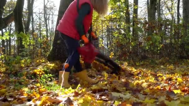 Nő nő levél fúvó gép gereblye színes levelek kertben — Stock videók