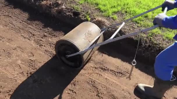 Hombre paisajista endurecer la tierra con rodillo después de sembrar césped. Vista superior portátil — Vídeos de Stock