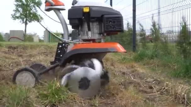 Cultivator ploegen dode grasbodem voor nieuwe gazon zeug. Gimbal bewegingsschot — Stockvideo