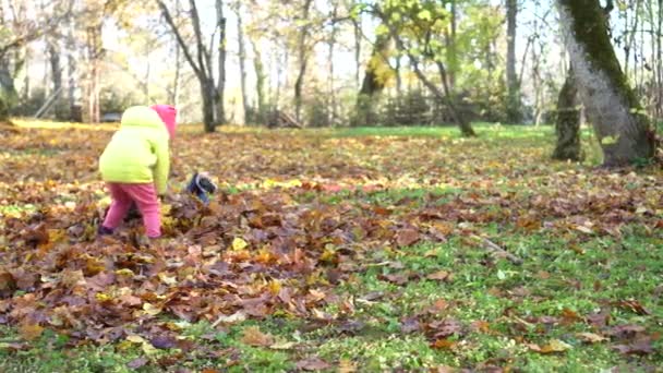 Mutter und kleine Tochter spielen in Laubhaufen. — Stockvideo