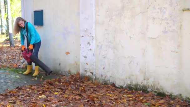 Donna giardiniere con percorso di pulizia soffiatore foglia da foglie colorate autunno — Video Stock
