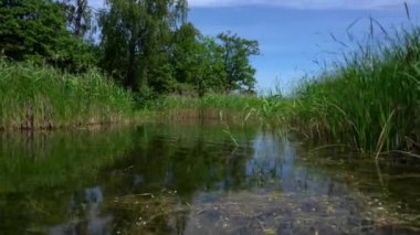 Flora Gölü yakınlarındaki tekne ya da katamaran şamandırası. Gimbal hareketi