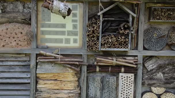 Insekt hus och nest box av trä och naturliga komponenter — Stockvideo