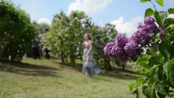 Floreciente rama de árbol lila se mueven en el viento y la mujer borrosa — Vídeos de Stock