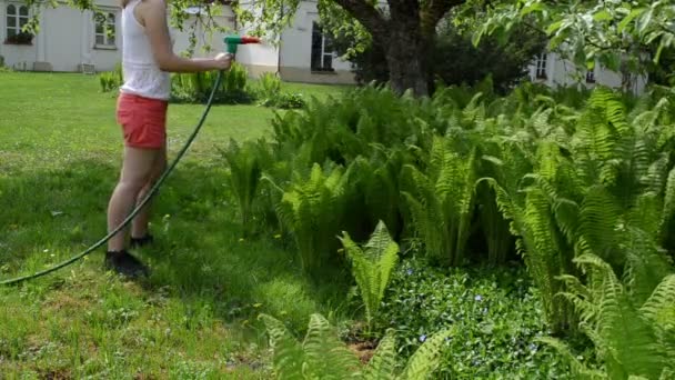 Attraktive Frau gießt Farne mit Handsprüher Sprinklergerät — Stockvideo