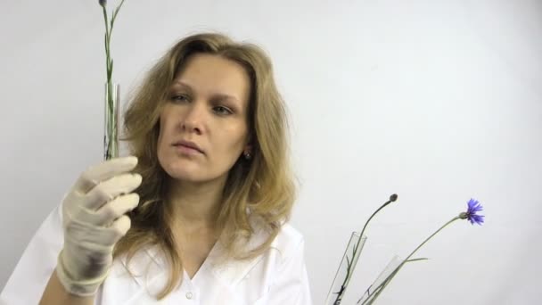 Научная женщина-исследователь колбы с генетически модифицированной травой — стоковое видео
