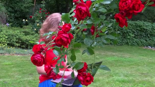 Donna incinta lavoro con computer portatile sitt vicino rosa fiore — Video Stock