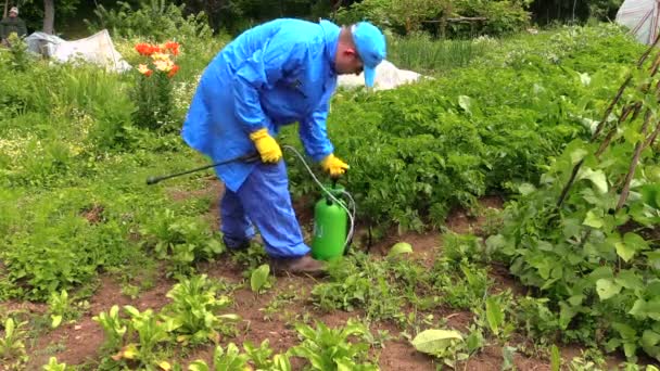 Granjero campesino hombre bomba rociador herramienta y pulverizar plantas de patata — Vídeo de stock