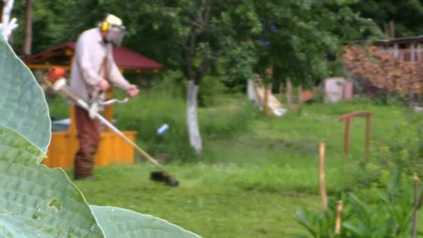 Focus change to man trimming grass in garden near water well — Stock Video