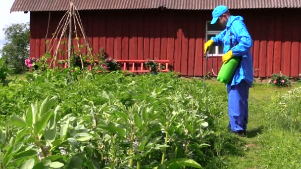 Mannen i blå kläder blanda gödselmedel i spruta på potatis field — Stockvideo