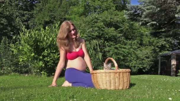 Little kitty cat jump out of wicker basket. Pregnant happy woman — Stock Video