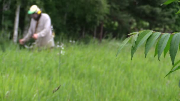 Dorpsbewoner gemaaid gras met draagbare macht trimmer, focus wijzigen — Stockvideo