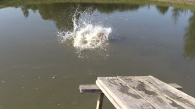 insanlar göl Göl suyu içinde tahta köprüden atlamak