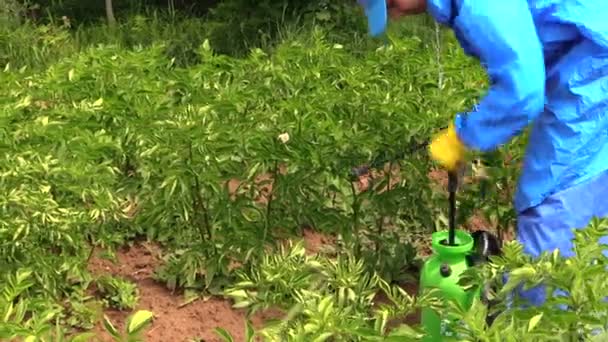 Farmer man pump sprinkler tool with herbicide — Stock Video