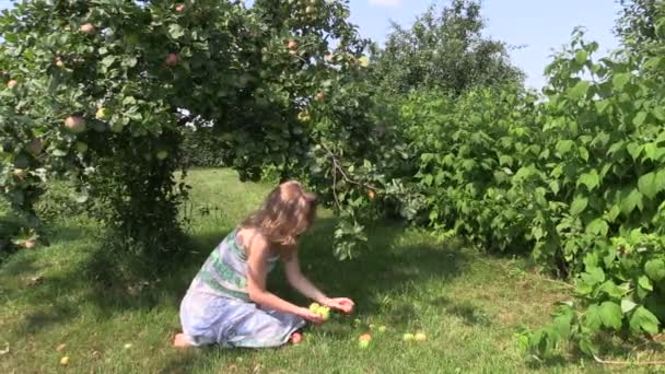 Chica embarazada sentarse bajo el manzano y recoger la manzana caída — Vídeo de stock