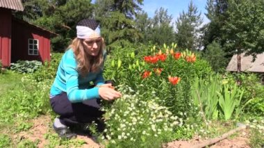 Kız, büyükanne ve organik papatya biçmek dönüş görünümü kökünü kazımak, bitkisel