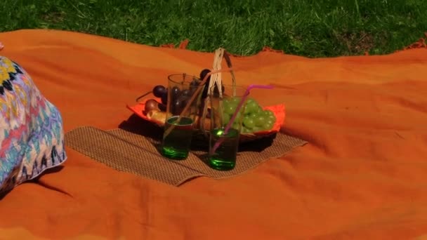 Picnic florero de frutas, vaso de agua, mujer comer uva en el día soleado — Vídeo de stock