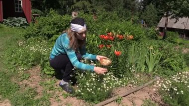 kadın, Bahçe, ev ilaçları organik papatya Seç