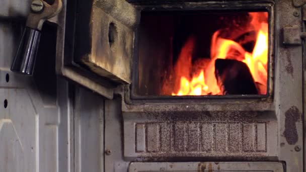 Zoom sur le bois brûlant dans le poêle, femme assise dans la chaise et lire — Video