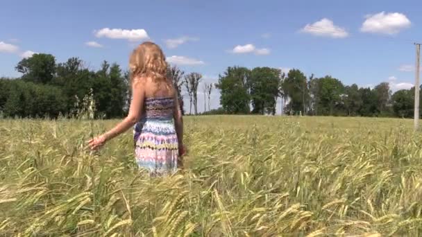 Frau läuft im Sommer durch Feld mit reifem Roggen — Stockvideo