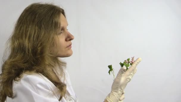 Woman  watch buckwheat sprout in chemistry test tube flask — Stock Video