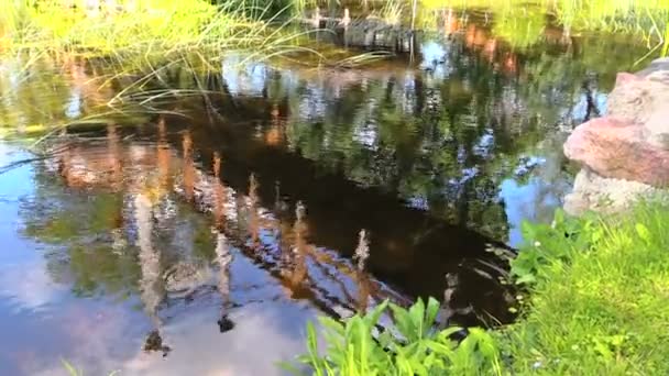 Solen reflekteras skugga bridge på snabbt flödande floden — Stockvideo