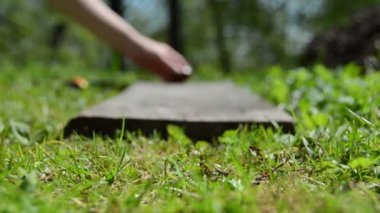 eski ahşap tahta üzerinde yumurta boyalı el kase. Paskalya oyunu.