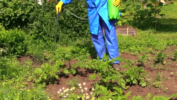 Agriculteur en vêtements de travail protecteurs pulvérisation pesticide sur les plants de pommes de terre — Video