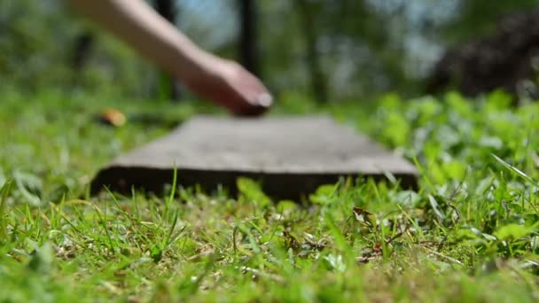 Hand kom eieren op houten oude bord geschilderd. Pasen spel. — Stockvideo