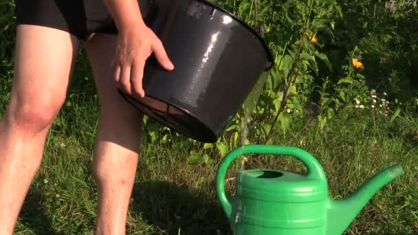 Mann gießt Wasser aus schwarzem Eimer in grüne Gießkanne — Stockvideo