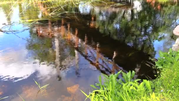 Erstaunliche Brückenreflexionen auf strömendem Flusswasser. Menschen gehen — Stockvideo