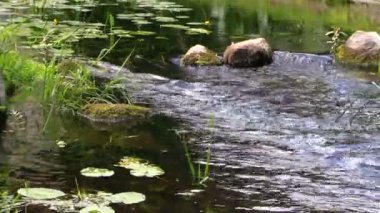 Kayalık akışı ripply nehir ve yeşil park ahşap köprü ile